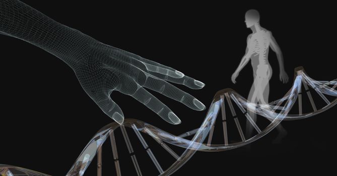 Genetic DNA of human transparent