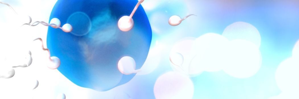 Sperm reproduction ovary