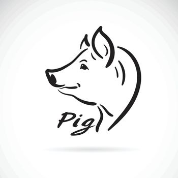 Vector of freehand pig head painting on white background. Farm a