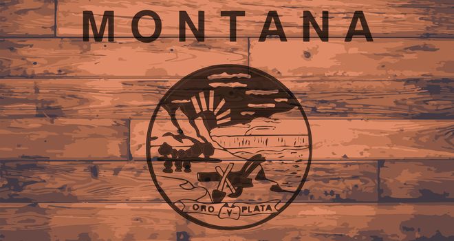Montana Flag Brand