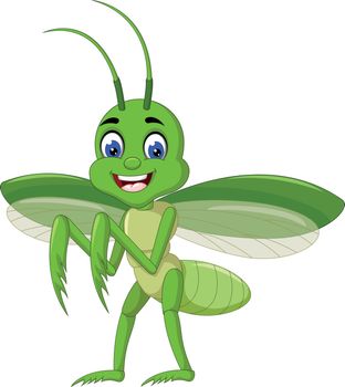 Green Mantis Cartoon