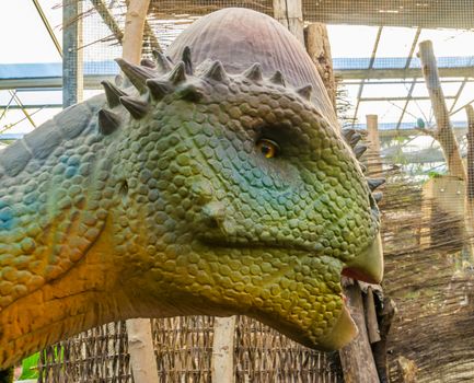 closeup of the face of a pachycephalosaurus replica statue, extinct prehistoric dinosaur specie