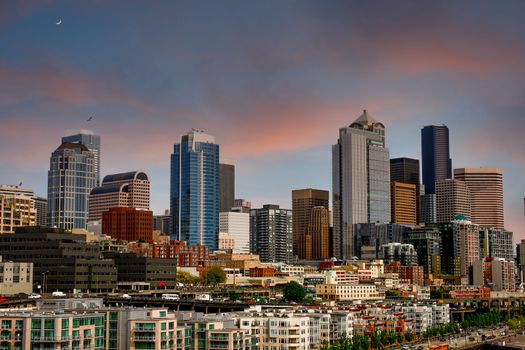 Seattle Skyline Past Condos