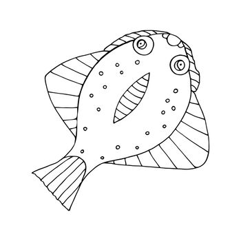 Black and white sea fish vector doodle sketch illustration.