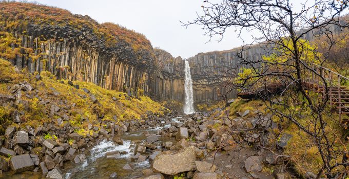 Svartifoss waterfall black basalt columns between autumn colored landscape panorama