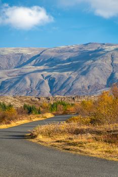 Thingvellir National Park in Iceland road leading through scenic landscape