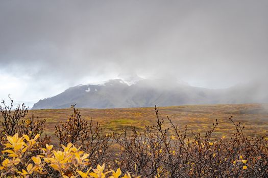 Vatnajoekull glacier in Iceland autumn colored landscape in front of icy mountain tops covered in fog