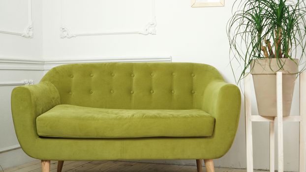 Home interior with new green sofa
