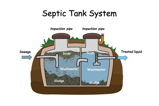 Septic Tank diagram. Septic system and drain field scheme.