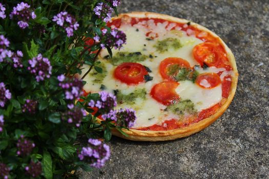 pizza on a thyme field