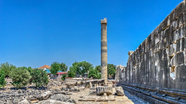 Columns in the Temple of Apollo at Didyma, Turkey