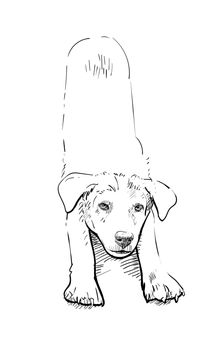 Drawing of dog in stretching pose