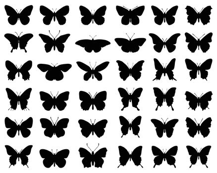 Silhouettes of butterflies