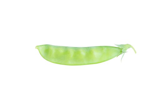 Sugar Pea, Snow peas isolated on white background with clipping 