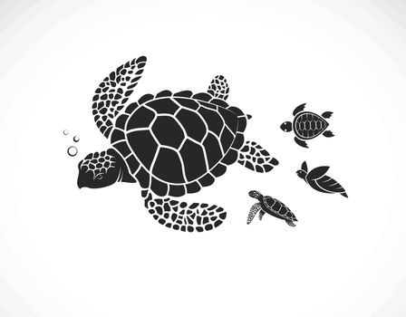 Vector of mother turtle and baby turtle on a white background. R