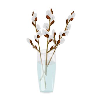 Pussy willow branches in glass vase isolated on white background.