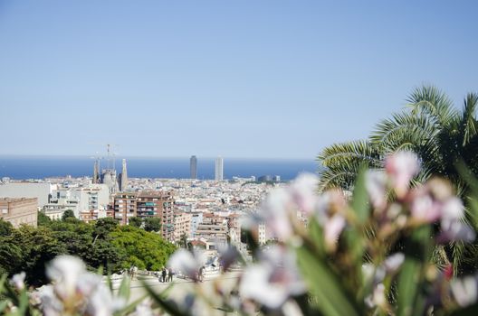 Panoramic view of Barcelona from Park Guell in a summer day in Spain. Top view of picturesque Barcelona cityscape in sunny day.