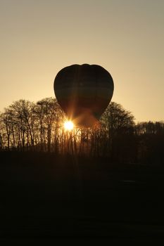 hot air balloon near a forrest