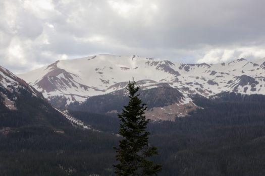 The Colorado mountain snowy covered peaks summer 2019