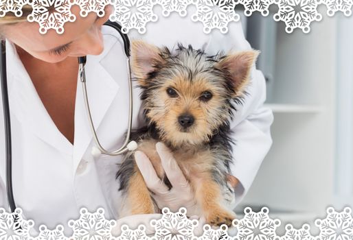 Composite image of vet holding cute puppy against snowflake frame