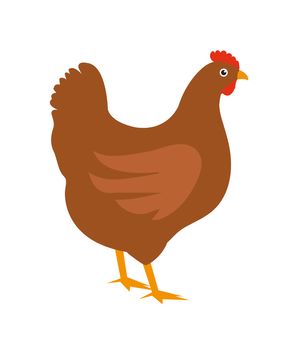 Chicken icon, flat style. Isolated on white background. illustration, clip-art.