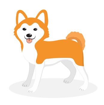 Akita Inu breed dog icon, flat, cartoon style. Cute puppy isolated on white background. illustration, clip-art.