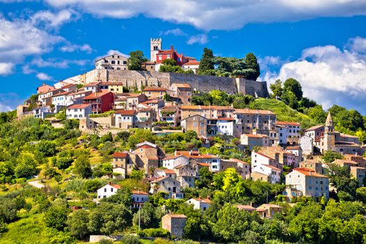 Motovun. Picturesque historic Town of Motovun on idyllic green h