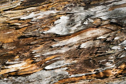 the old weathered wood