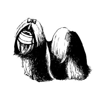 freehand sketch illustration of Shih Tzu dog with mask doodle hand drawn