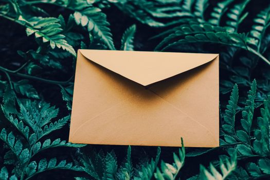 Blank envelope and green leaves in nature, paper card as background, correspondence and newsletter