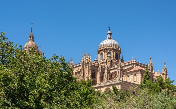 Ornate dome on the new Cathedral in Salamanca