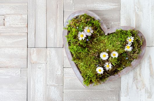 Heart with moss and flowers