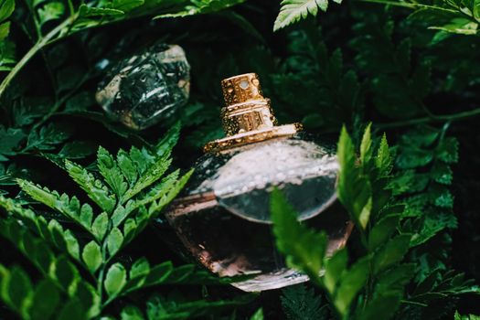 Perfume bottle with aromatic tropical scent in nature, luxury fragrance