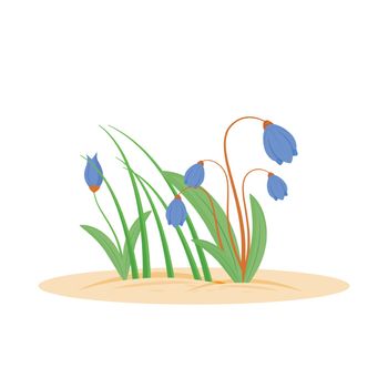Flowers cartoon vector illustration. Spring fresh grass. Bloomin herbs in garden. Green lawn growing from ground. Bellflower flat color object. Growing grass isolated on white background