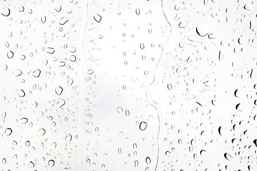 Rain drops on glass. Silhouettes of water drops on a transparent surface.