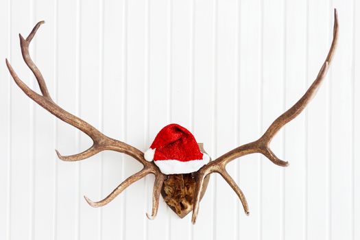 Deer antler with bright red Santa's hat. Christmas detail of hom