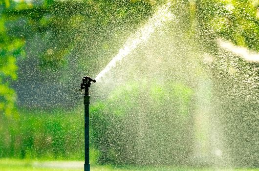 Automatic lawn sprinkler watering green grass. Sprinkler with au