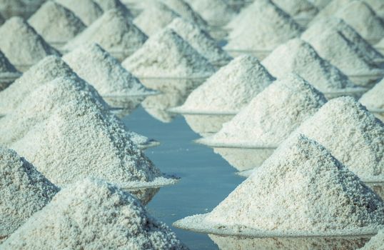 Sea salt farm in Thailand. Organic sea salt. Evaporation and cry