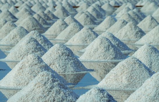 Sea salt farm in Thailand. Organic sea salt. Evaporation and cry