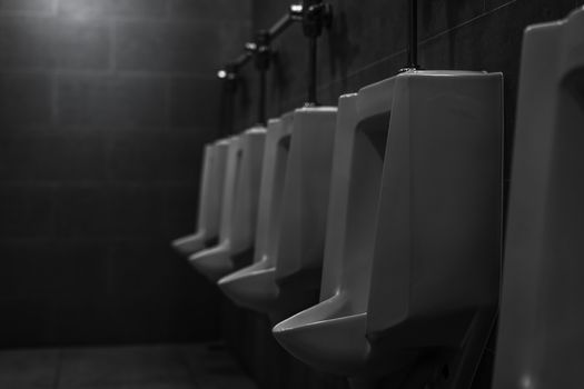 White urinals in men public toilet. Ceramic urinals in a row in 