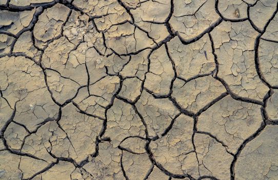 Climate change and drought land. Water crisis. Arid climate. Cra