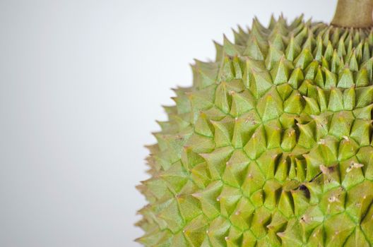 Durian. The fruit is sweet and has a pungent odor. On white background.