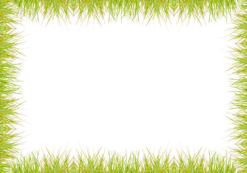 Green grass frame over a white background