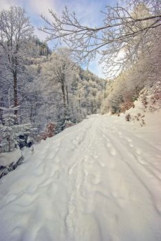 Fresh snow on mountain road