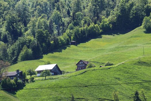 swiss alp farm house with green grass
