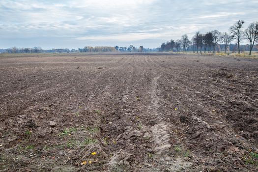 plowed field for sowing