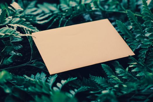 Blank envelope and green leaves in nature, paper card as background, correspondence and newsletter