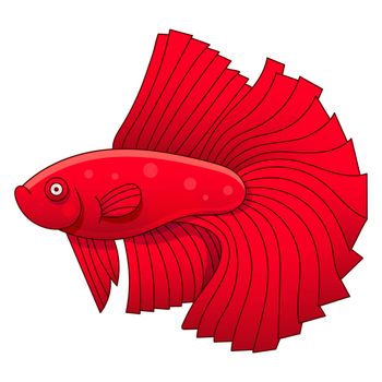 Aquarium Fish Cockerel Illustration For Kids And Adults