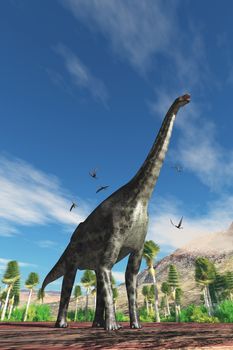 Cetiosaurus Dinosaur