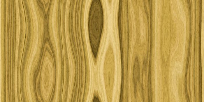 Oak Wood Seamless Background Texture. Vertical across fibers ori